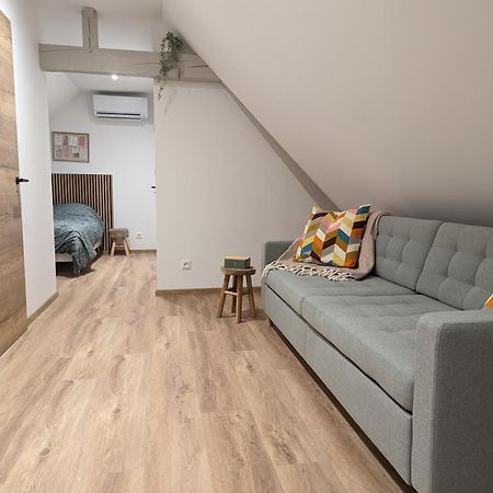 Le Cosy Lejlighed Marlenheim Eksteriør billede